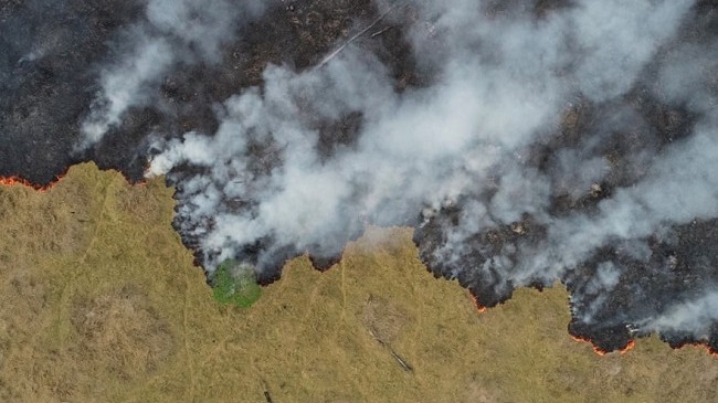 Zjarret në Amazonë një katastrofë mjedisore [Foto]