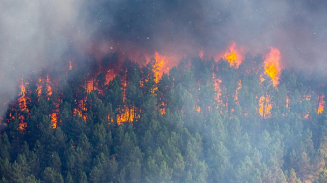 IKSHPK apel qytetarëve për ruajtjen e mjedisit: Zjarrëvenia vret!