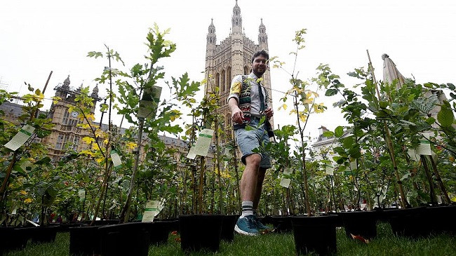 Aktivistët për mbrojtjen e klimës mbjellin pemë jashtë parlamentit britanik