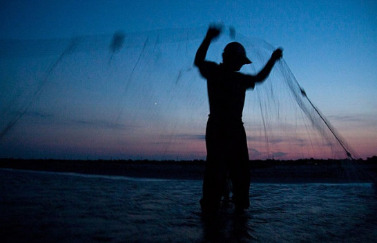 Ngrohja e Detit të Zi kthen duarbosh peshkatarët