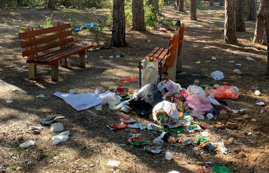 Krimi mjedisor: Ja si duket parku Te Pishat e Sllatinës në fundjavë [Foto]