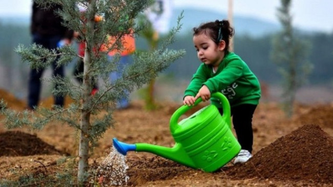 Turqia thyen rekordin botëror për mbjelljen e fidanëve për 1 orë