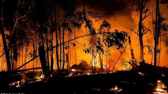Australia në alarm, 30 mijë turistë të bllokuar nga zjarret [Foto]