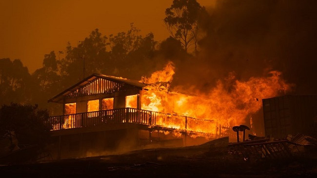 Pamje apokaliptike/ Australia nën flakë [Foto]