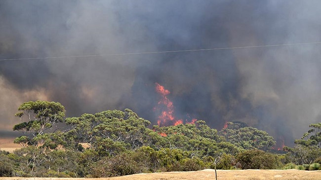 Autoritetet australiane bëjnë thirrje për një tjetër evakuim masiv