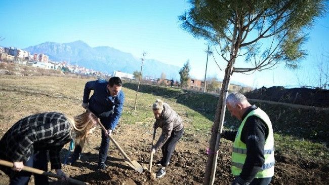 Nis aksioni për mbjelljen e pemëve, 100 pemë të reja përgjatë Lumit të Tiranës