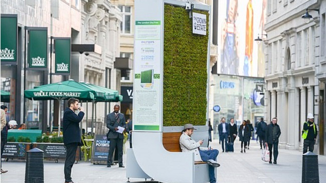Londra pajiset me pemë nga myshku për pastrimin e ajrit