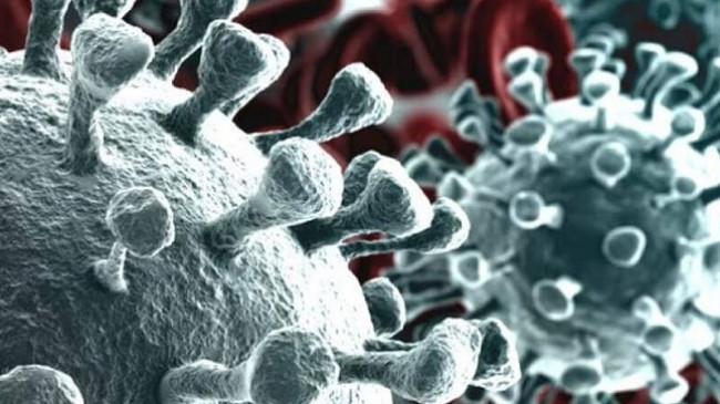Po sikur të kem pasur kontakt të ngushtë me një të infektuar me koronavirus?⁣