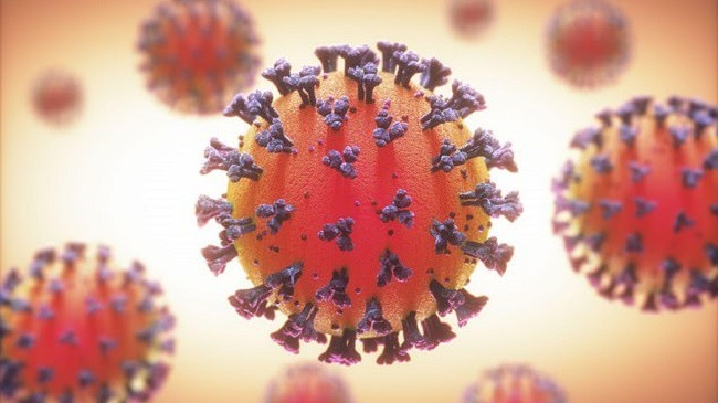 Arrin në 51 numri i të prekurve me koronavirus në Shqipëri
