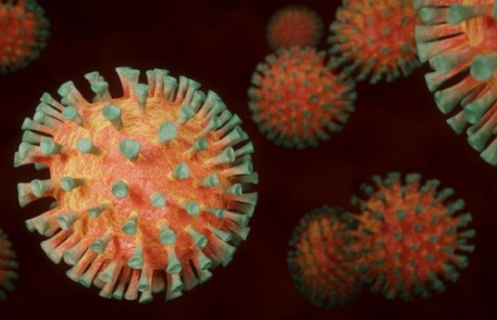 Shënohen edh dy raste të reja me koronavirus, shkon në 88 numri i të infektuarve në Kosovë
