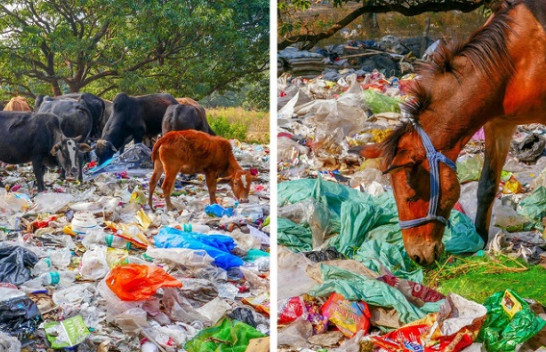 17 foto që dëshmojnë se njerëzimi duhet të ndalet dhe të shikojë se çfarë po i bën tokës