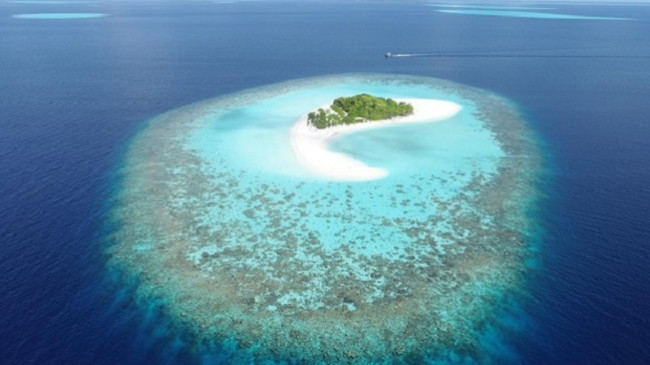 Ishujt koralorë ngrihen në nivel së bashku me oqeanet duke pluskuar