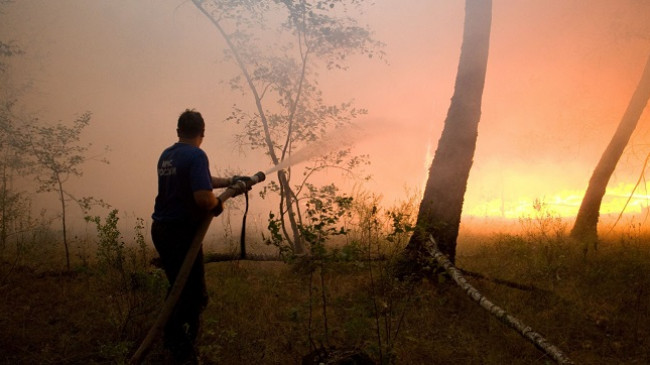 Zjarret djegin 10 mijë kilometra katrorë pyje në Rusi
