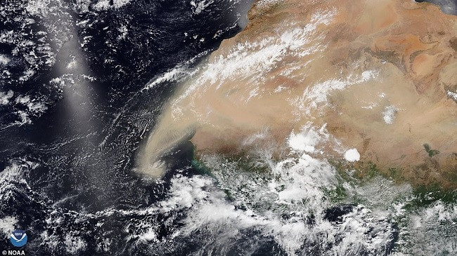 Një re jashtëzakonisht e madhe e pluhurit Saharian arrin në Detin e Karaibeve, pasi përshkoi më shumë se 4000 kilometra mbi Oqeanin Atlantik