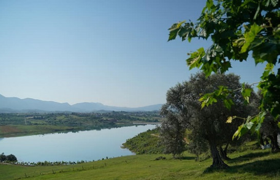 Diell dhe temperatura të larta, njihuni me parashikimin e motit në Shqipëri
