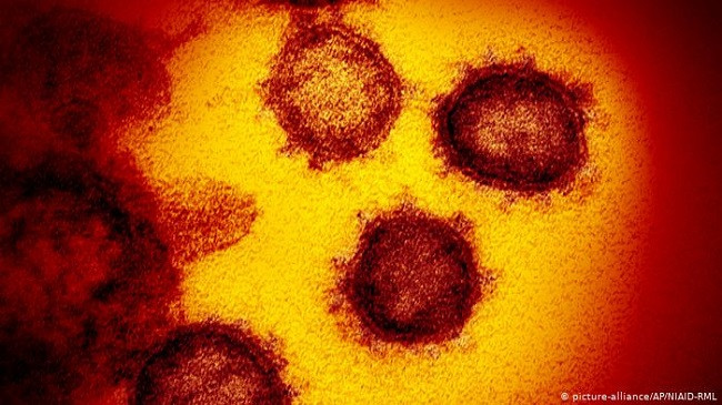 A mund të prekemi dy herë nga virusi SARS-CoV-2?