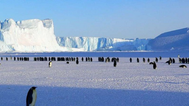 Rrjedhja aktive e metanit në shtratin e detit u zbulua për herë të parë në Antarktidë