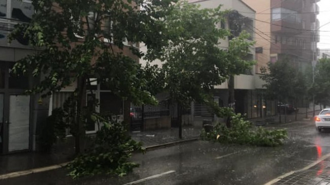 Shi, breshër dhe erëra të forta në Ferizaj, rrëzohen edhe pemët e qytetit