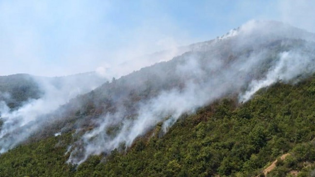 Shqipëria në flakë nga zjarret