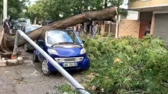 Stuhia godet Shqipërinë/ Era e fortë shkul pemët dhe dëmtohen disa makina në Shkodër