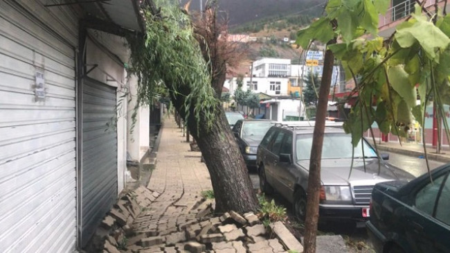 Pasojat e motit të ligë në Bulqizë, rrëzohen disa pemë dhe ndërpritet energjia elektrike [Foto]