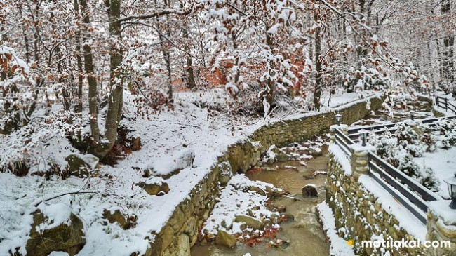 Motilokal.com ju sjell dimrin në vjeshtë direkt nga Brezovica [Foto]