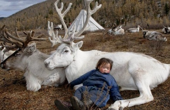 Fotografi viziton fisin e humbur Mongolian, kap foto mahnitëse të jetës dhe kulturës së tyre