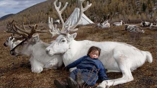 Fotografi viziton fisin e humbur Mongolian, kap foto mahnitëse të jetës dhe kulturës së tyre