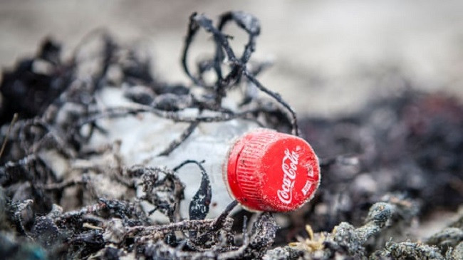 Coca-Cola, Pepsi dhe Nestlé ndotësit më të mëdhenj të plastikës në botë