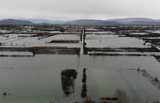 Bashkia e Shkodrës kërkon shpalljen e gjendjes së fatkeqësisë natyrore nga përmbytjet