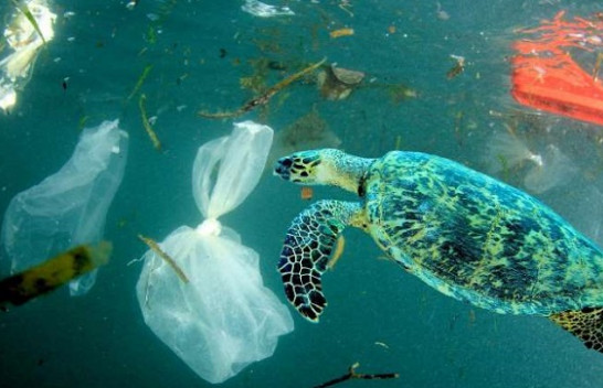 Agjencia Evropiane e Mjedisit: Evropa të tregohet më inteligjente në përdorimin e plastikës
