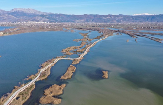 Në ligatinat e Shqipërisë strehohen rreth 75 për qind e vlerave të biodiversitetit