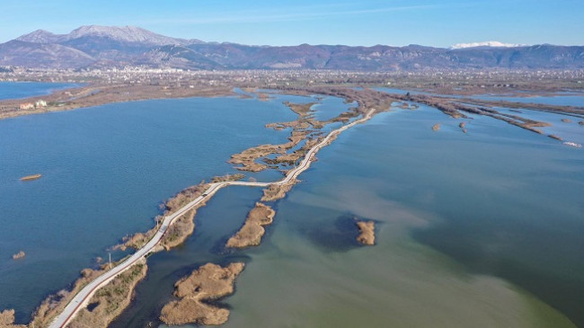 Në ligatinat e Shqipërisë strehohen rreth 75 për qind e vlerave të biodiversitetit