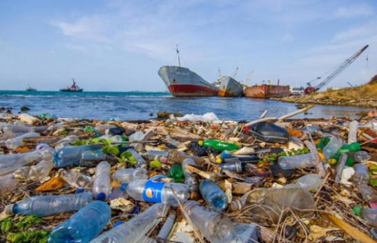 Mbetjet plastike vrasin qindra kafshë në Detin e Zi
