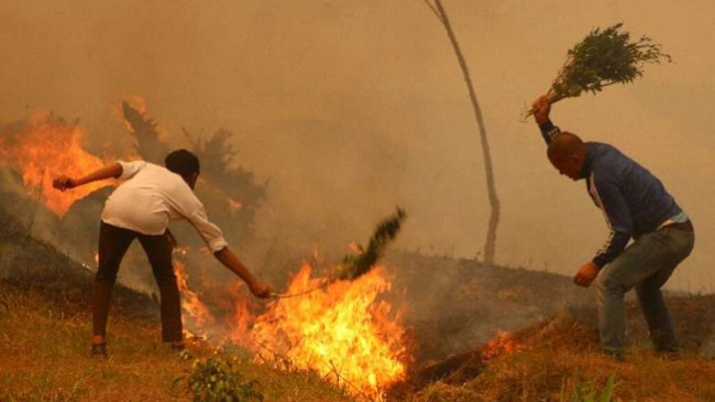 Nepali përfshihet nga zjarret më të rënda në një dekadë