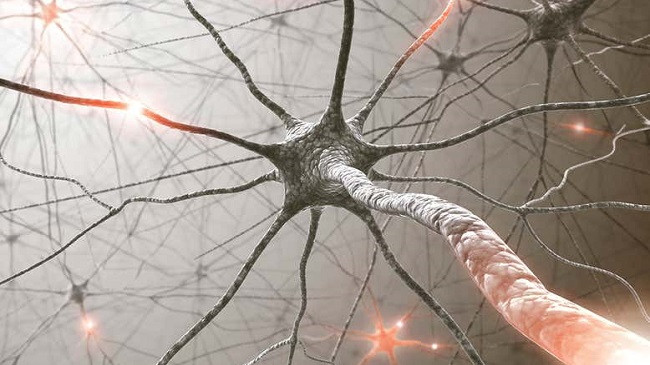 Sistemi nervor artificial ndien dritën dhe mëson të kapë informacionet si njerëzit