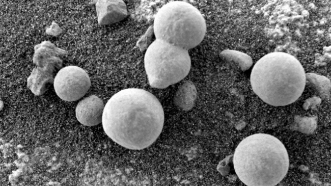 Shkencëtarët besojnë se këto fotografi tregojnë kërpudhat në Mars