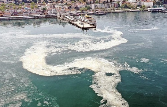 Turqia do të marrë masa për mbrojtjen e Detit Marmara nga algat
