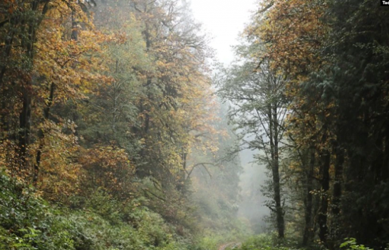 Banka Biologjike e Britanisë premton të mbrojë biodiversitetin e planetit