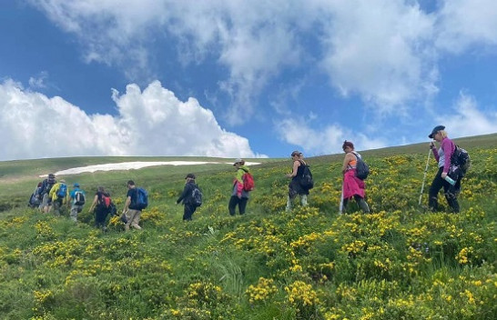 Shtegu i Ngjyrave – Magjia e livadheve Alpine