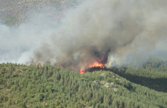 AMMK bën thirrje për mbrojtjen e pyjeve të Parqeve Kombëtare nga zjarret