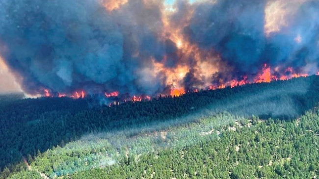 Në fotografi: Vala rekord e të nxehtit në Kanada