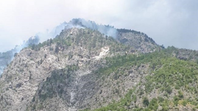 Përfshihet nga flakët Lugina e Valbonës në Tropojë