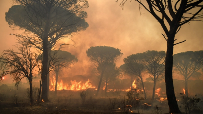 Zjarret në Francë, qindra turistë evakuohen nga Saint Tropez
