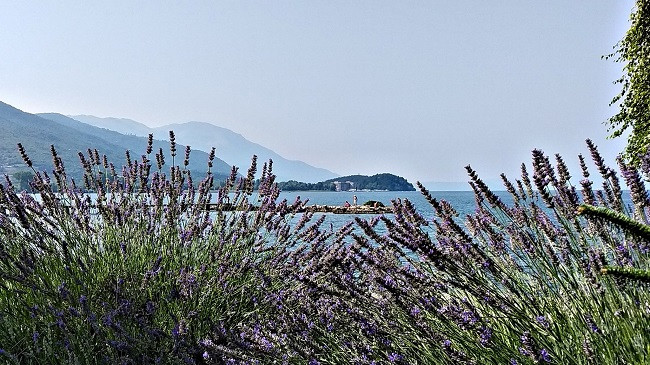 Sot mot me vranësira mesatare, pasdite me reshje shiu dhe bubullima në Maqedoni