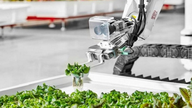 A do të zëvendësohen fermerët nga robotët?