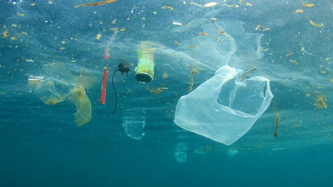 Studim: Bregu shqiptar një ndër më të ndoturit në Mesdhe nga mbetjet plastike