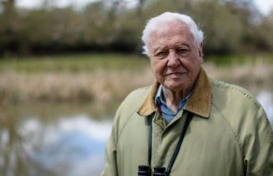 Attenborough thirrje liderëve botërorë për krizën klimatike: Veproni tani, ose do të jetë shumë vonë!