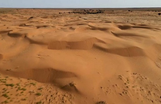 Shkretëtira e parë evropiane, qindra bagëti gjenden të ngordhura në jug të Rusisë