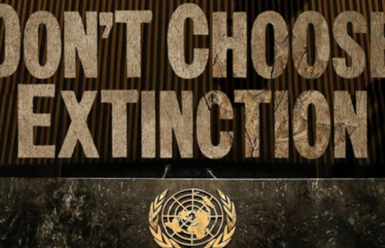 ‘Mos zgjidh shfarosjen’ vjen në Tiranë, ndërgjegjësim mbi efektet shkatërrimtare të ndryshimeve klimatike